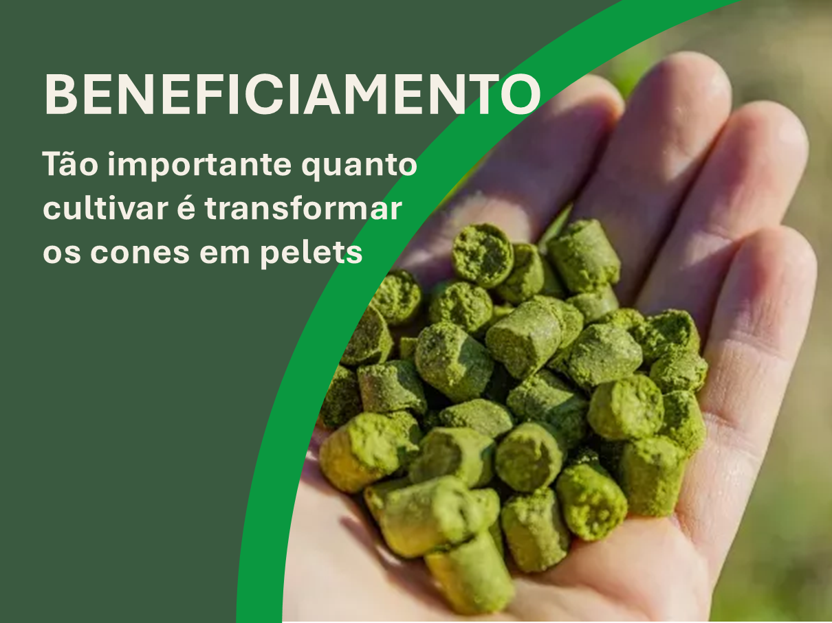 Beneficiamento